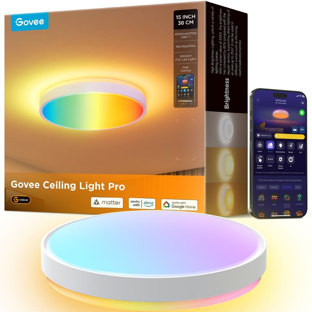 Govee Ceiling Light Pro (15 inch)