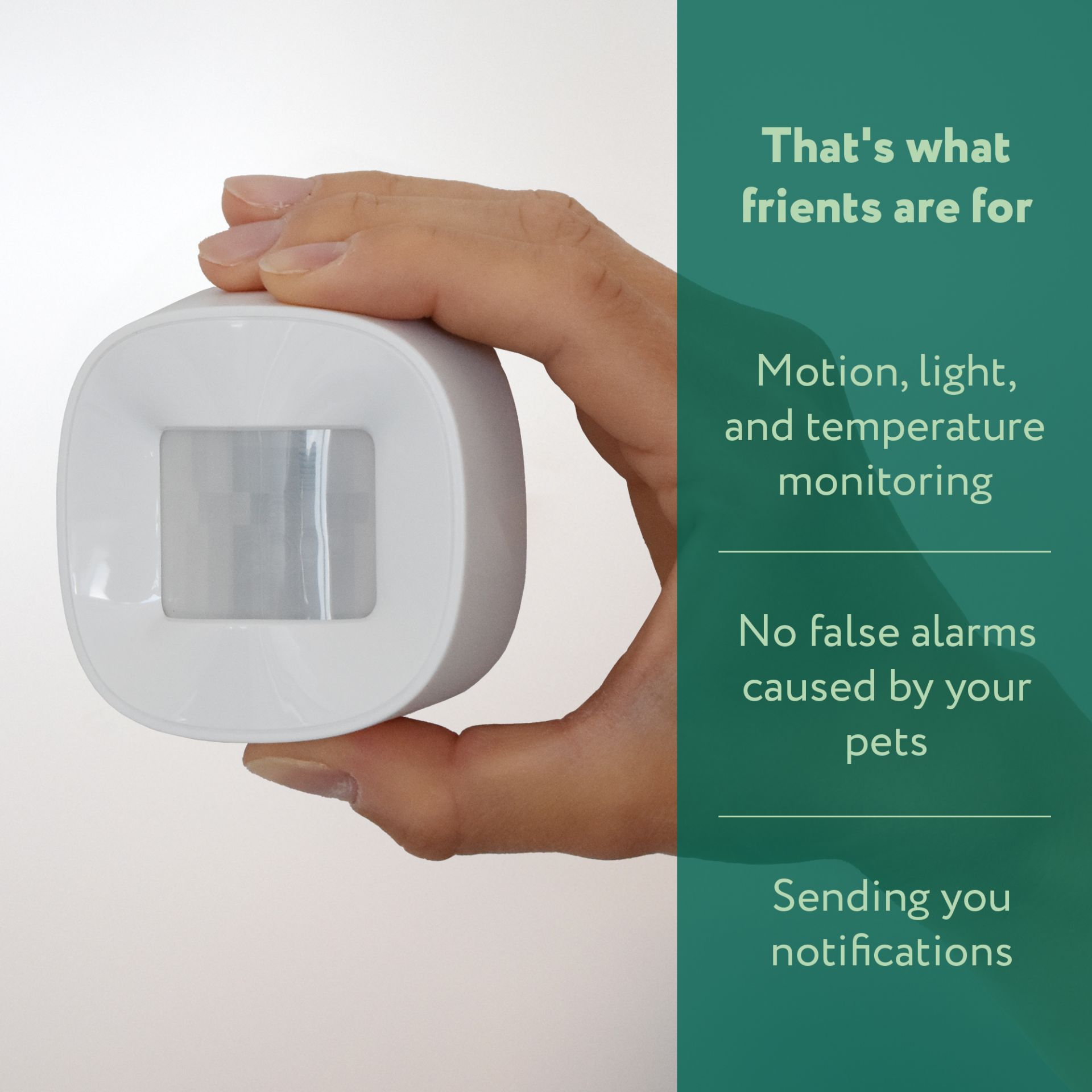 frient Motion Sensor PET - Image 3