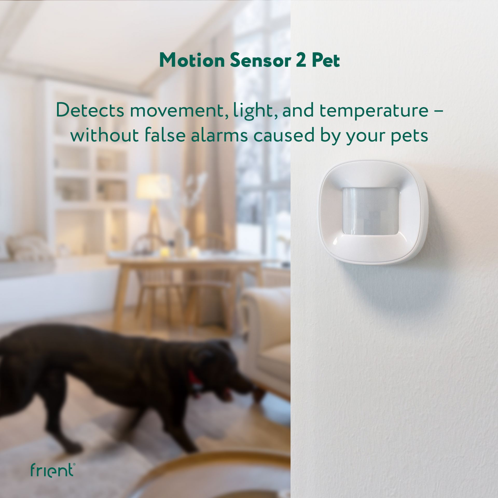 frient Motion Sensor PET - Image 6